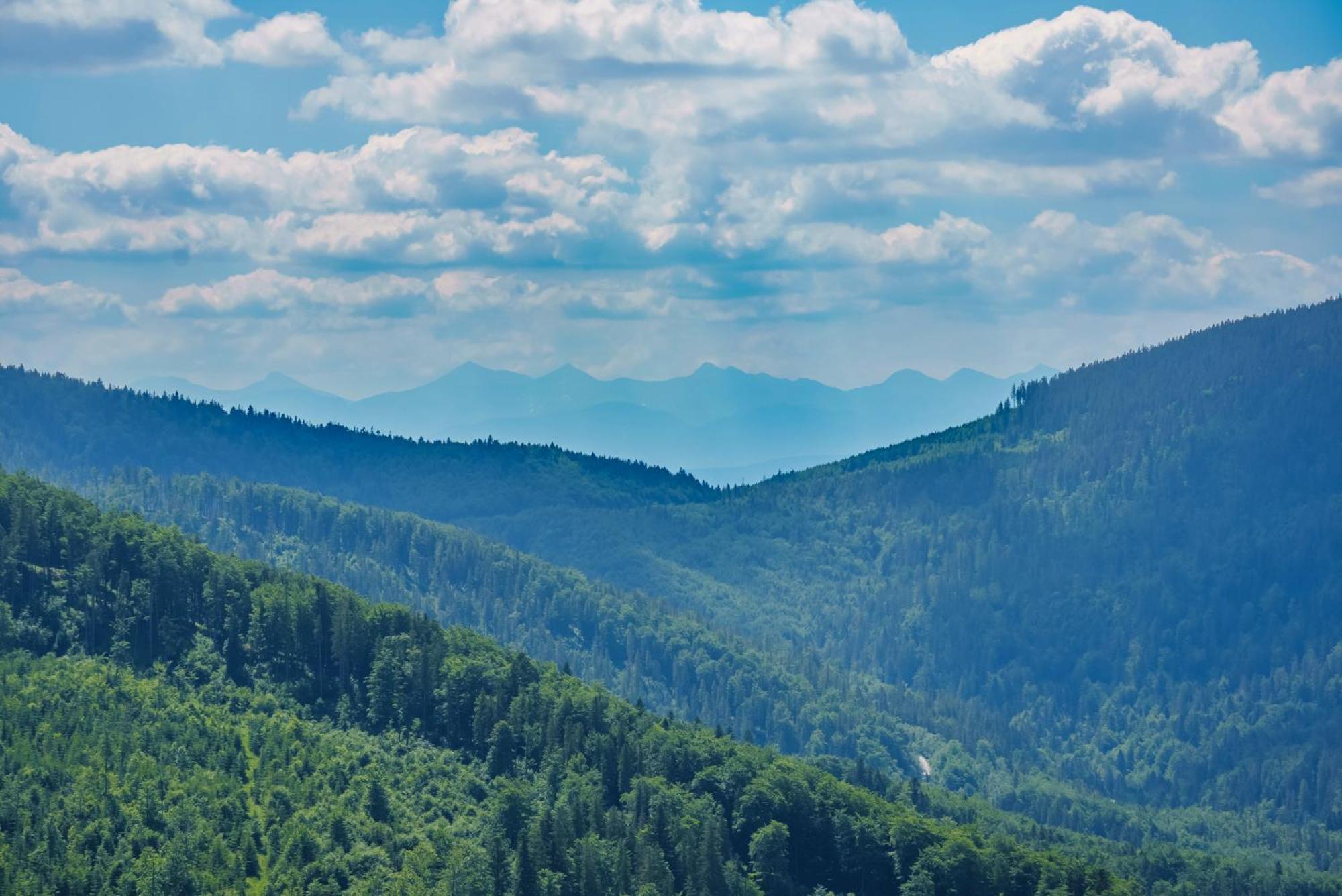 Mosorny Groń Kwatera prywatna