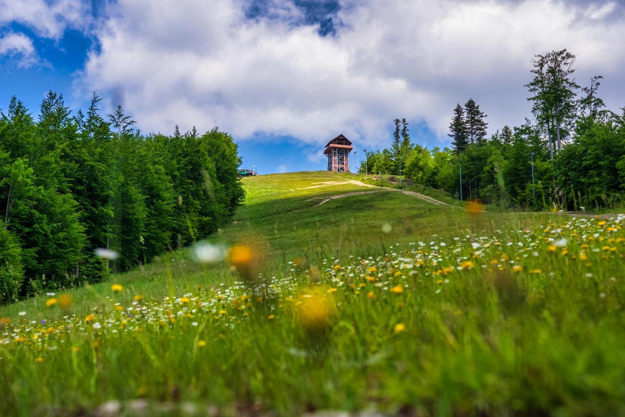 Kwatera prywatna Mosorny Groń